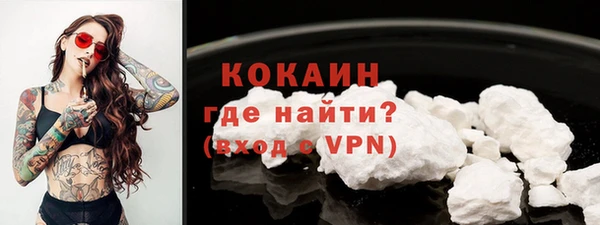 spice Няндома