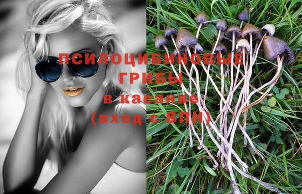 ALPHA PVP Ветлуга
